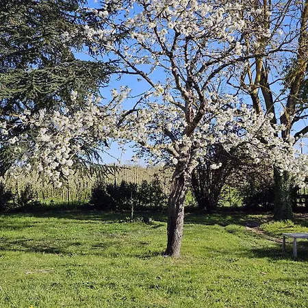 Apartamento Domaine Des Moizons, Le Cerisier *