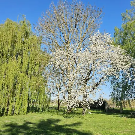 Domaine Des Moizons, Le Cerisier * Villebernier