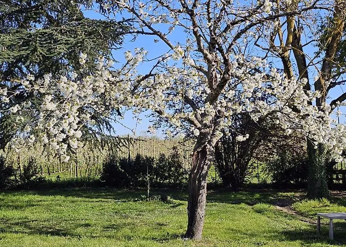 Apartman Domaine Des Moizons, Le Cerisier *